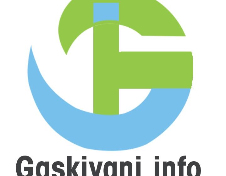  GASKIYANI INFO : Rien que la vérité