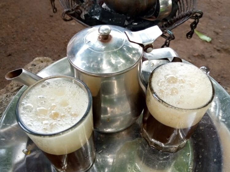  Santé : Les bienfaits du thé vert