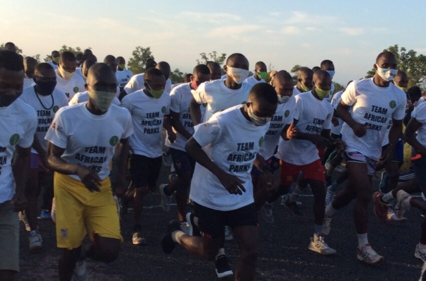  Semi-Marathon Wildlife African Park : S’unir pour soutenir les rangers de la faune