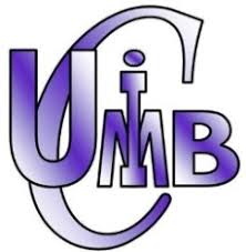  Brouille dans l&rsquo;artisanat au Bénin:L&rsquo;UCIMB et la CNAB clarifient