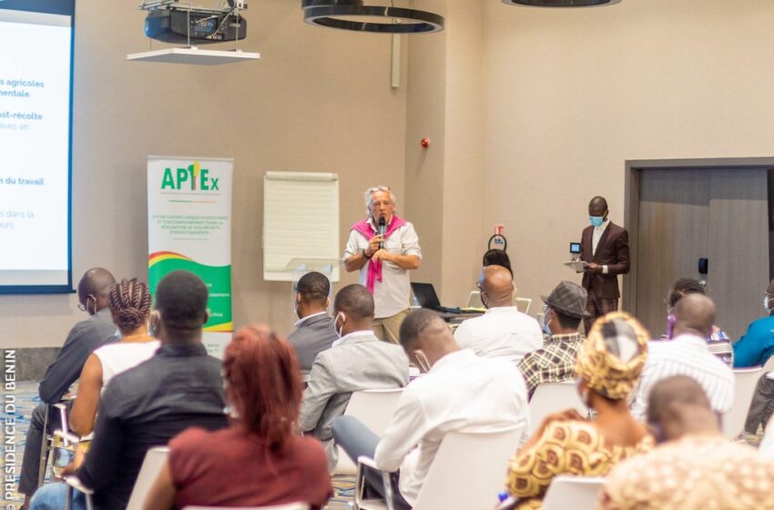  Développement du cacao au Bénin : Le club «Les chocolatiers engagés» échange avec les producteurs béninois