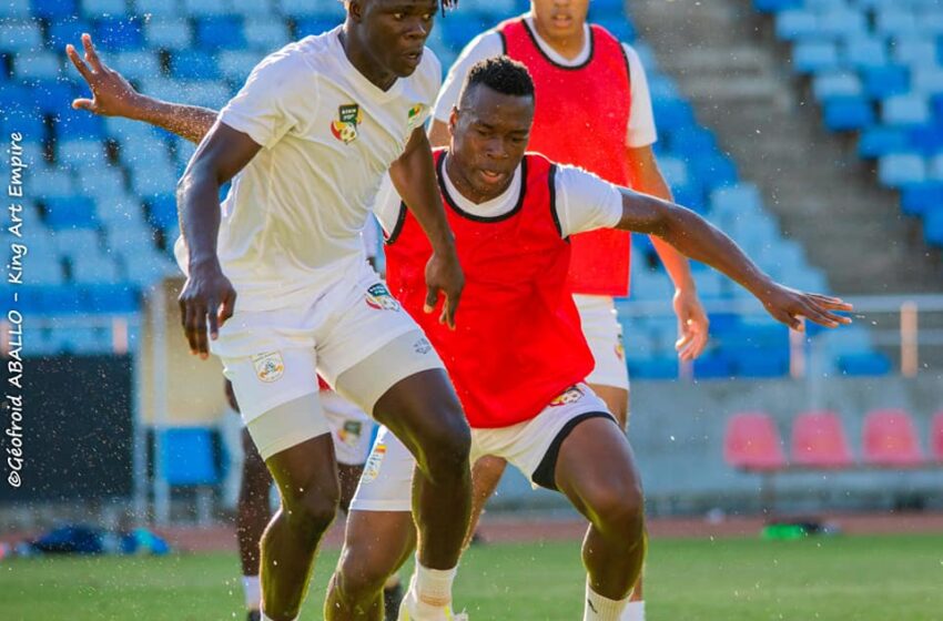  Double confrontation Bénin- Tanzanie: Enjeux pour les Ecureuils