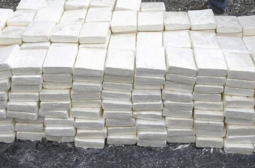  Le Nigéria accuse le Bénin d’être un pôle de trafic de drogue : Si la cour du mouton est sale ce…