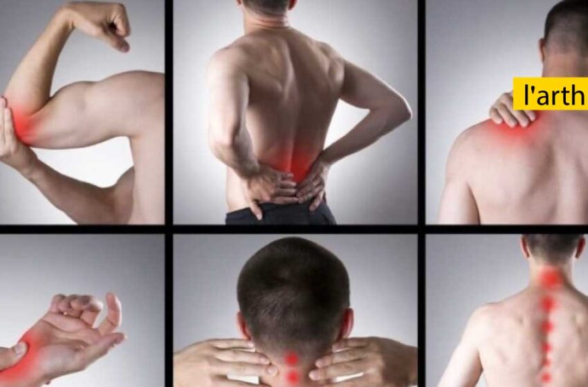  Arthrose : Le mal qui gangrène les articulations