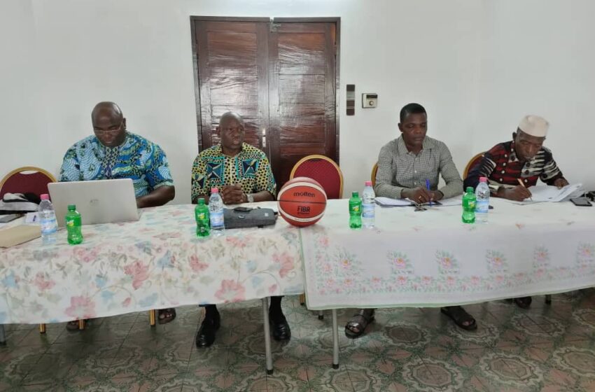  Basket Youzou Ligue Pro A et Pro B: Les grands axes