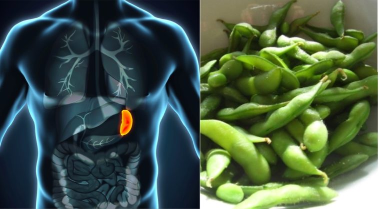  Pour maintenir sa rate en bon état: Voici quelques astuces