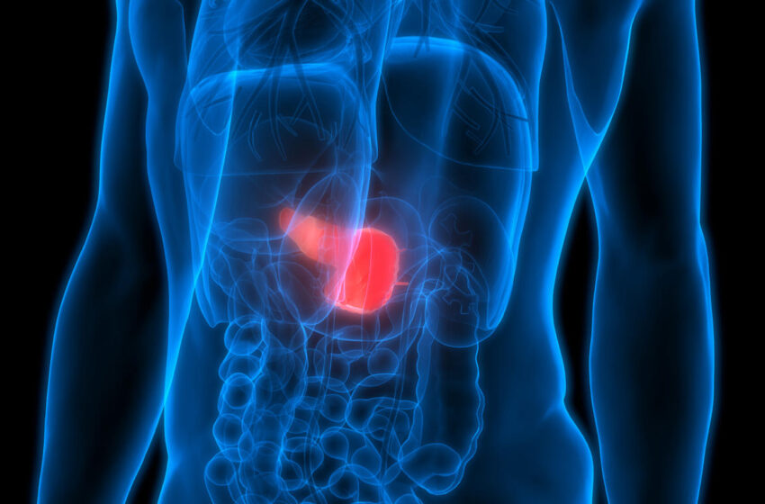  Santé : Des aliments pour garder son pancréas en bon état