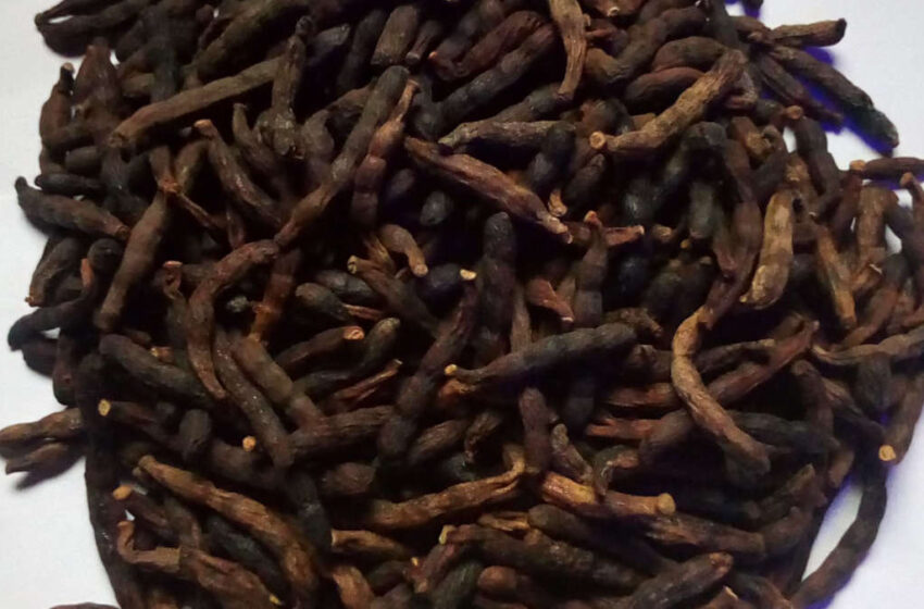  Poivre de guinée: Un remède contre l’impuissance sexuelle?