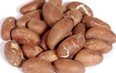  Garcinia cola ou petit cola : Un fruit qui stimule l’appétit sexuel