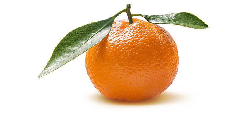  Fruit Clémentine : Un agrume qui améliore l’acuité visuelle