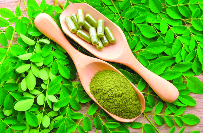  Moringa : Arbre de vie