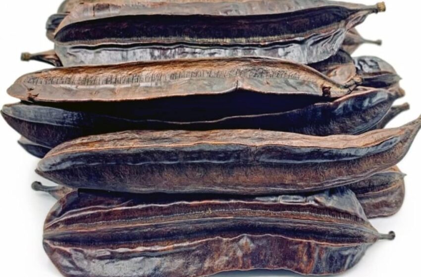  Tetrapleura tetraptera ou « 4 cotés  » ou « lingala akan en fon  » : Le fruit miracle