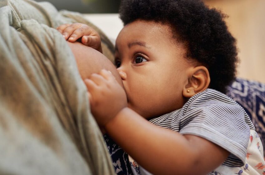  Allaiter fait maigrir : Mythe ou réalité