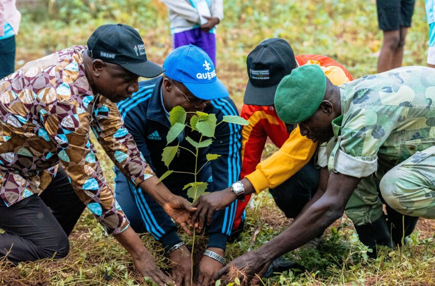  Championnat National Scolaire : Mise en terre de plants à Avrankou, une innovation