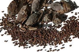  Poivre de guinée ou « Kpeédjlékoun »: Excellent pour la libido