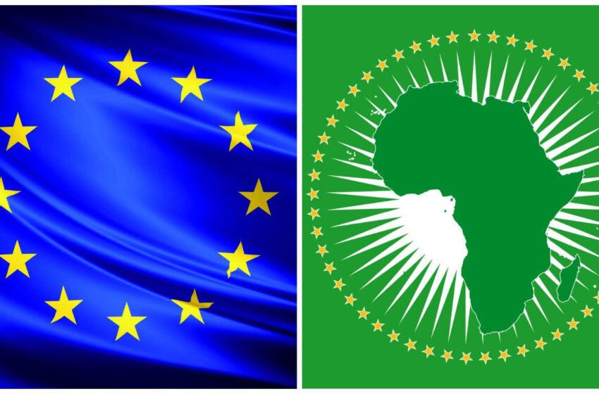  Coopération UE-Afrique : Bilan d’étapes