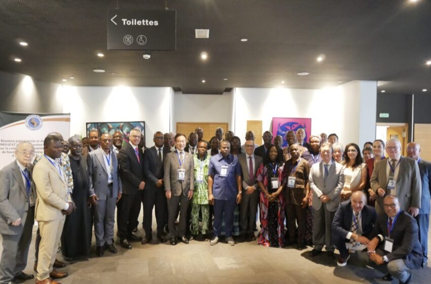  Préparation africaine à la CITES CoP20 : Casablanca accueille une concertation stratégique sous l’égide de la COMHAFAT