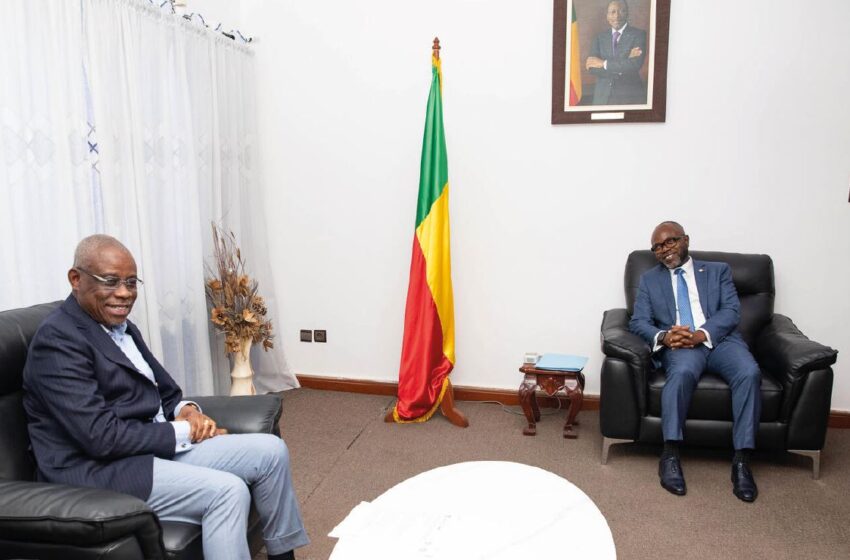  Audience au Conseil Economique et Social : Le ministre Tonato éclaire des zones d&rsquo;ombre