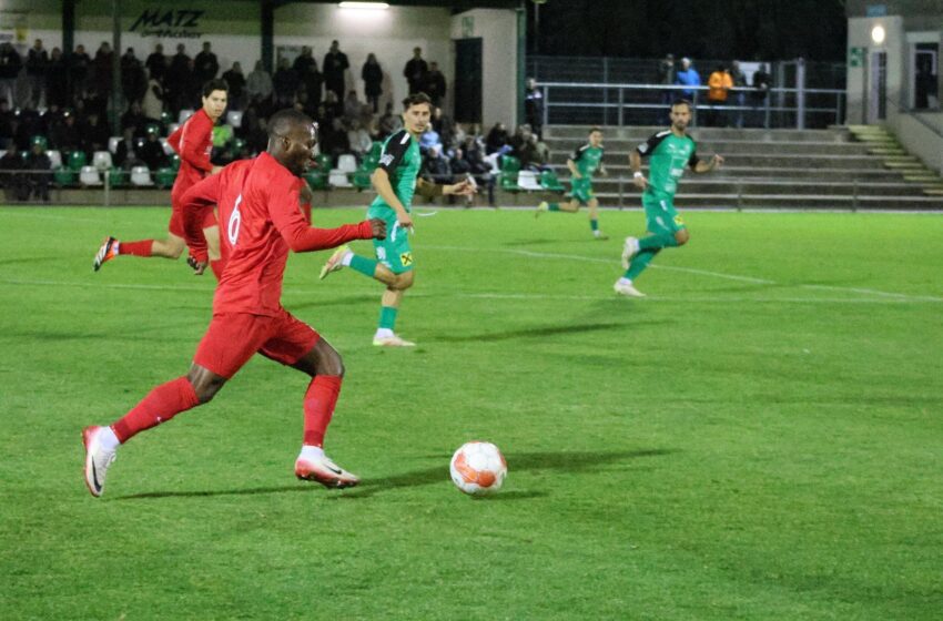  Freud Gnidokponou : Un talent méconnu