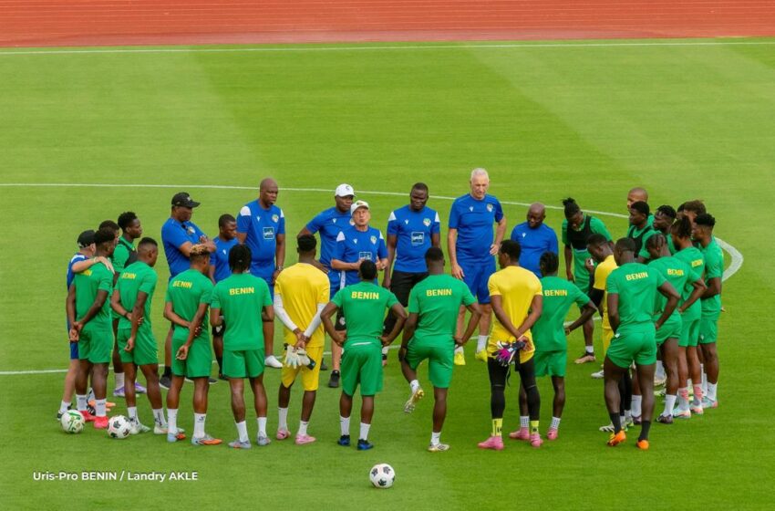  Info Guépards : Une séance sous des averses