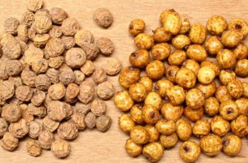  Souchet : Un trésor de bienfaits méconnus