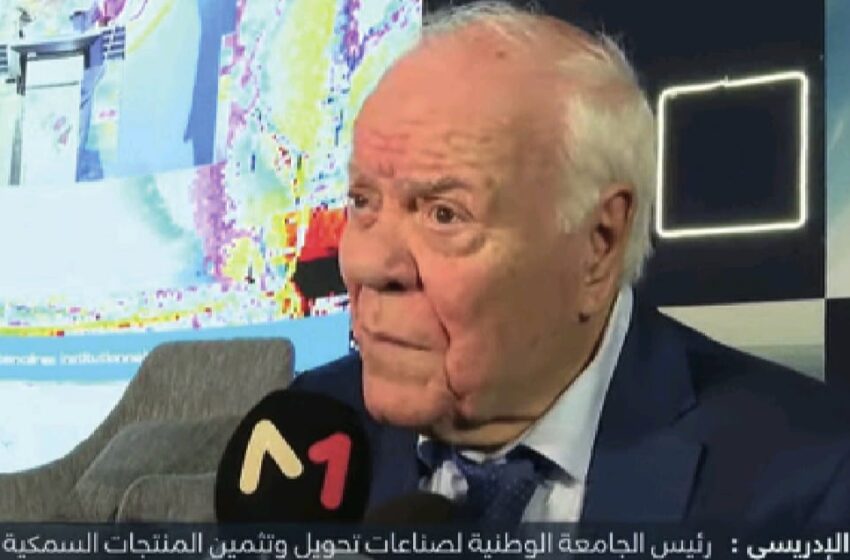  SEAFOOD 4 AFRICA 2026 : Dakhla au cœur des stratégies africaines de la pêche et de l’économie bleue