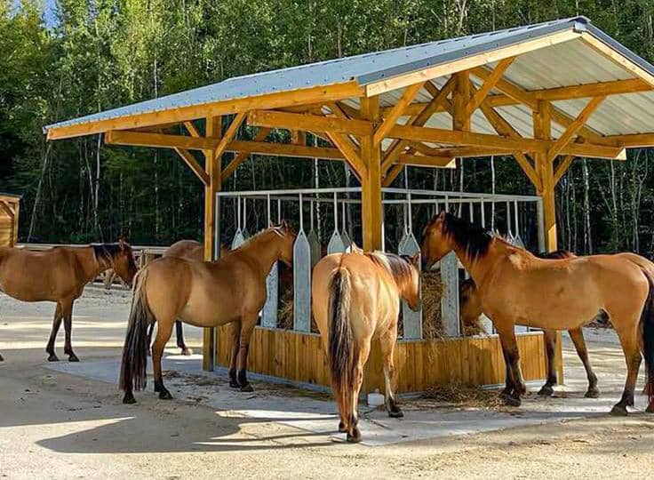  Construction d’un centre équestre national : Le projet entre dans sa période cruciale